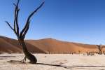 Deadvlei namibia safari 