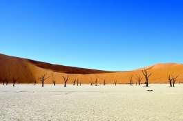 Sossusvlei pan, Namib 