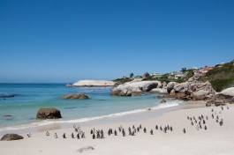 South Africa Tour - Cape Town Coast  by Bas Leenders