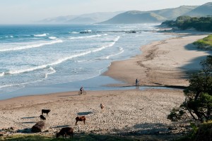 Wild coast hike 4