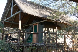 Budget Kruger Safari lodge 