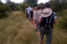 Kruger & Private Reserve Overland Tour  