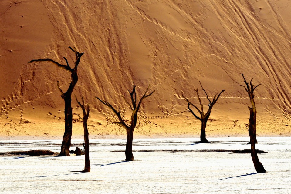 Sossusvlei in Namibia Desert