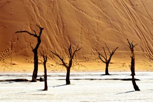 Sossusvlei in Namibia Desert by Eric Bauer