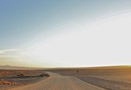 Namibia Safari Adventure 