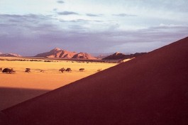 Namib Desert Safari 