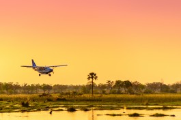 Delta plane 