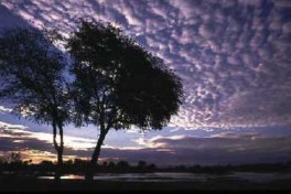 Africa Adventure Tour Sunset 