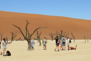 Deadvlei, Desert & Delta Tour