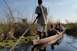Mekoro Delta Tour Adventure 