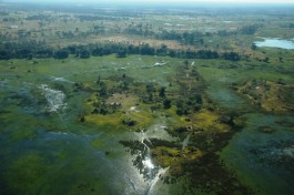 Delta, Overland Adventure Tour 