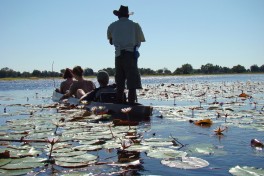 Delta & Victoria Falls Tour 
