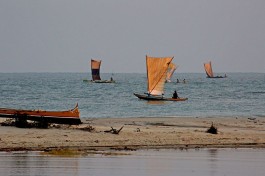Mozambique channel, Madagascar Tour  by vil.sandi