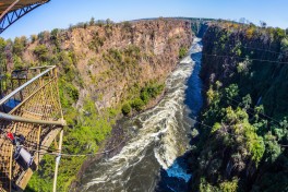 Bungee Jumping in Vic Falls 