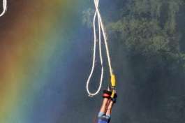 Bungee 