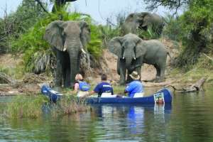 Canoeing on the Zambezi