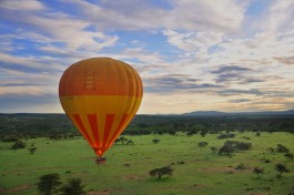 Ballooning, Masai Mara & Serengeti Safari   by Wajahat Mahmood