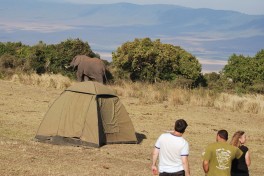 Tanzania Safari Camping, Ngorongoro Crater 