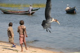 Lake on Tanzania & Kenya Safari  by Marc Veraart