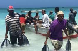 Zanzibar Adventure Tour, local fishermen 