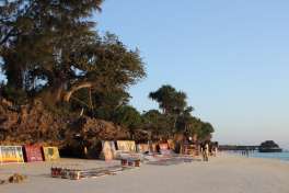 Art on beach, Zanzibar holiday 