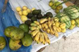 Local fruit, Zanzibar vacation 
