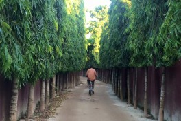 Zanzibar vacation, local cycling tour 