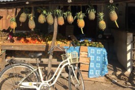 Zanzibar vacation, market  