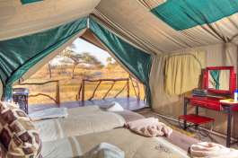 Savuti safari camp 