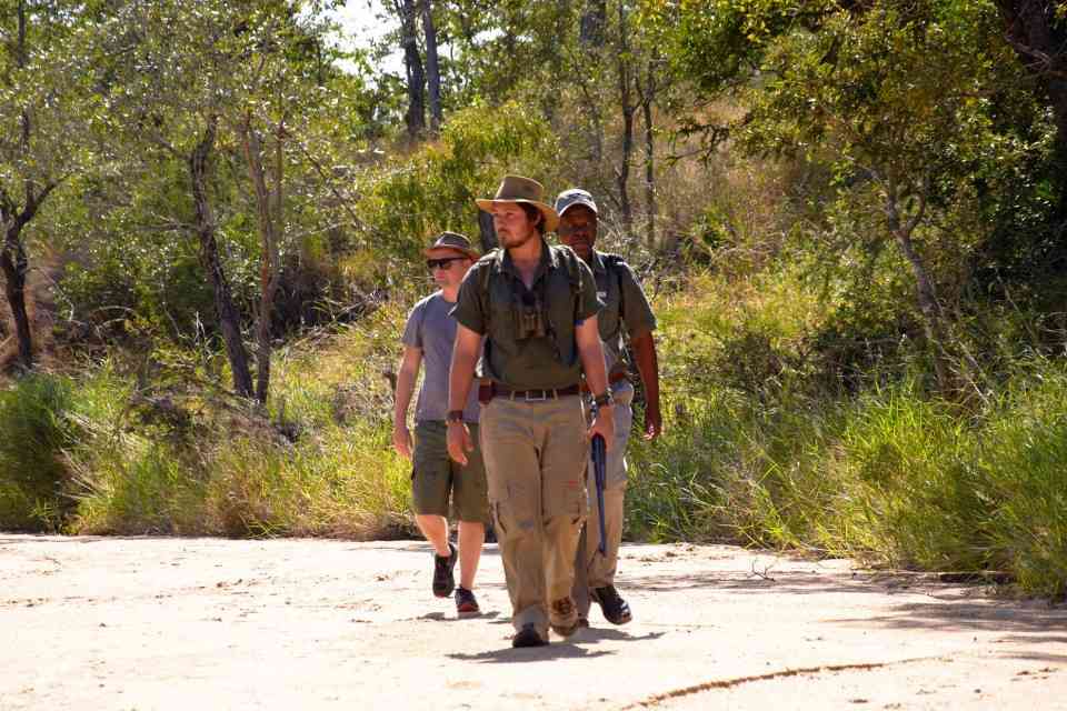 Walking safari Timbavati