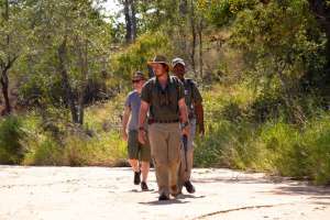 Walking safari Timbavati