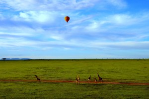 Kenya Safari, Masai Mara balloon ride by Wajahat Mahmood
