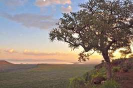 Great Rift Valley in Kenya 