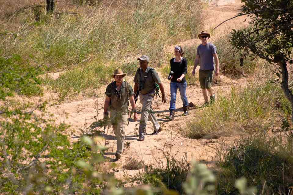 Walking safari