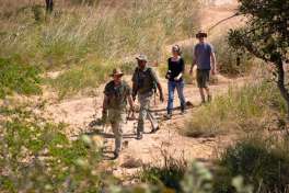 Walking safari 