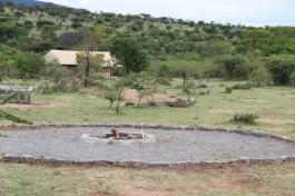 Mara camp 