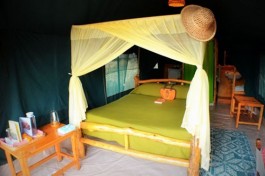 Amboseli accommodation 
