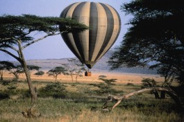 Masai Mara balloon ride 