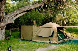Private Botswana Safari - mobile camp 