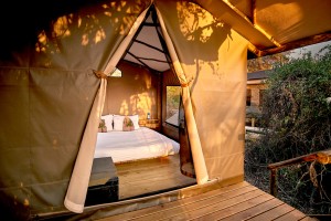Botswana Safari luxury camping Oddballs