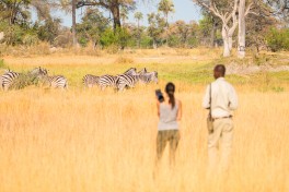 Delta walk - Botswana private safari 