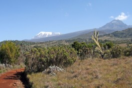 Climb Kilimanjaro Hike, Marangu Route 