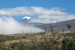 Marangu climb, Kilimanjaro 