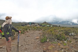 Marangu Route, Kilimanjaro Hiking Tour 