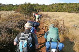 Climbing Kilimanjaro, Tanzania 