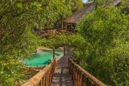 Greater Kruger safari lodge 