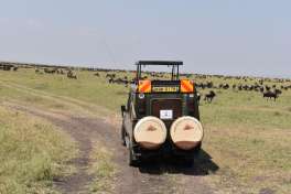 Masai Mara safari vehicle, Kenya 