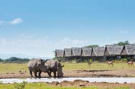 Sweetwaters safari camp in Kenya 