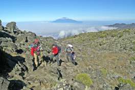 Hiking up Kilimanjaro 