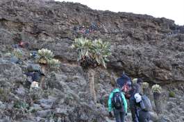 Kilimanjaro Lemosho route hike 